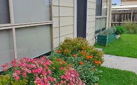 Beach Garden Getaway